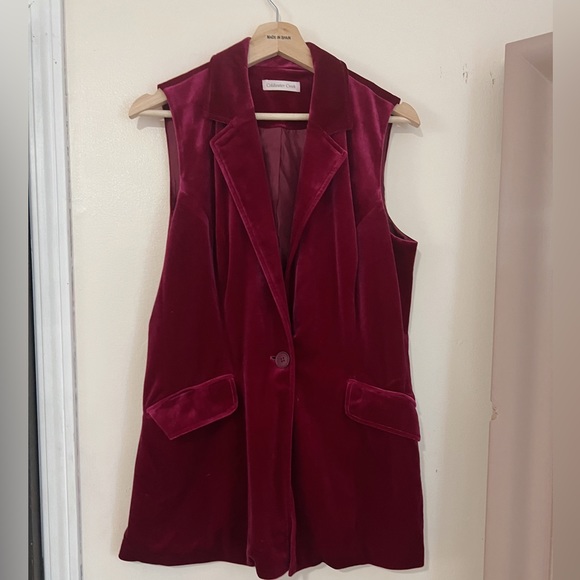 ❌❌SOLD ❌❌Raspberry vest - Picture 1 of 4